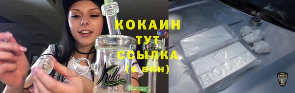 PSILOCYBIN Навашино