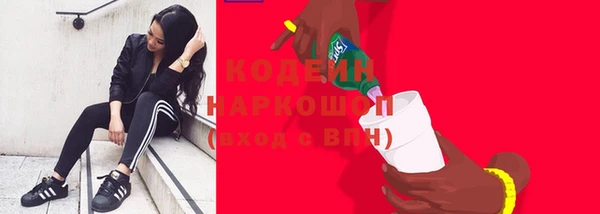 2c-b Дмитриев