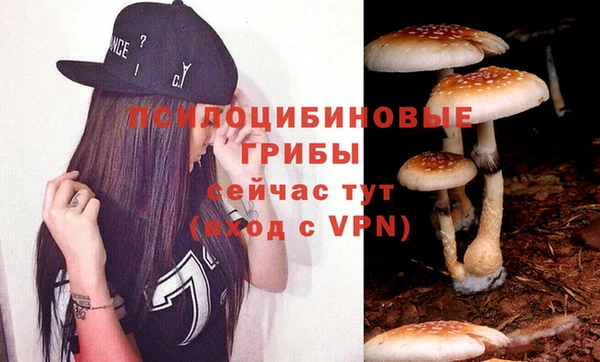 ALPHA-PVP Дмитровск