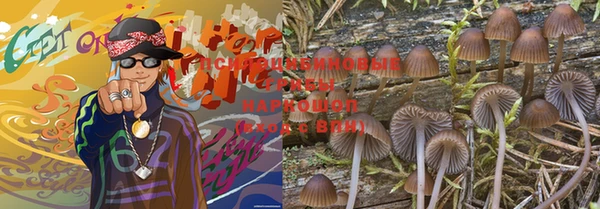 мескалин Надым