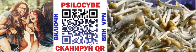 купить наркотики цена Ермолино Галлюциногенные грибы GOLDEN TEACHER